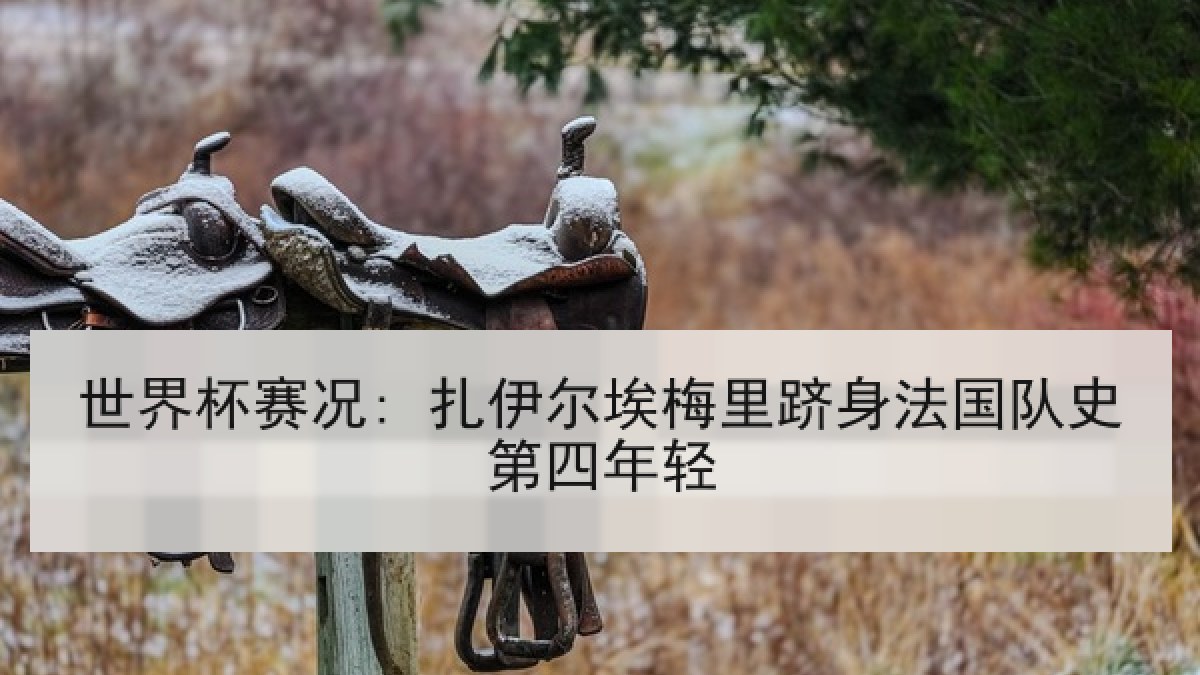 世界杯赛况: 扎伊尔埃梅里跻身法国队史第四年轻