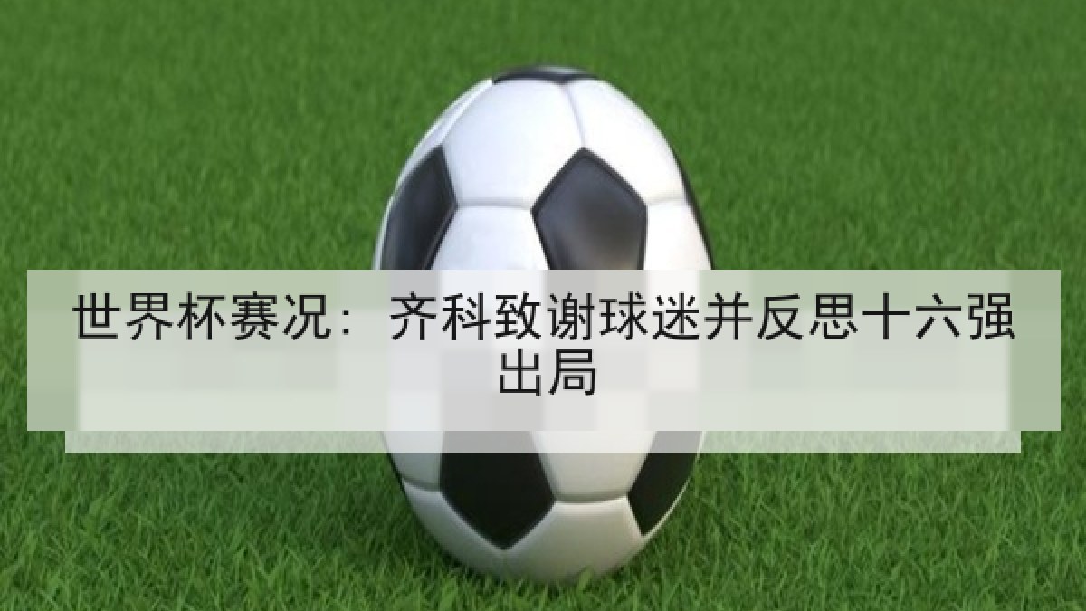 世界杯赛况: 齐科致谢球迷并反思十六强出局