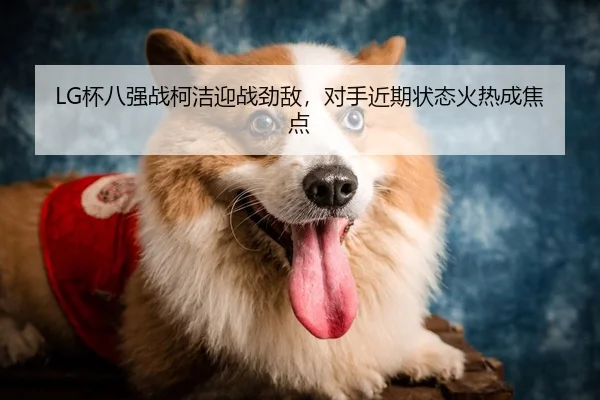 LG杯八强战柯洁迎战劲敌，对手近期状态火热成焦点