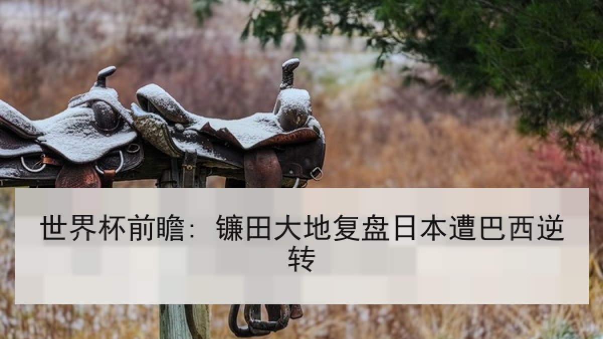 世界杯前瞻: 镰田大地复盘日本遭巴西逆转