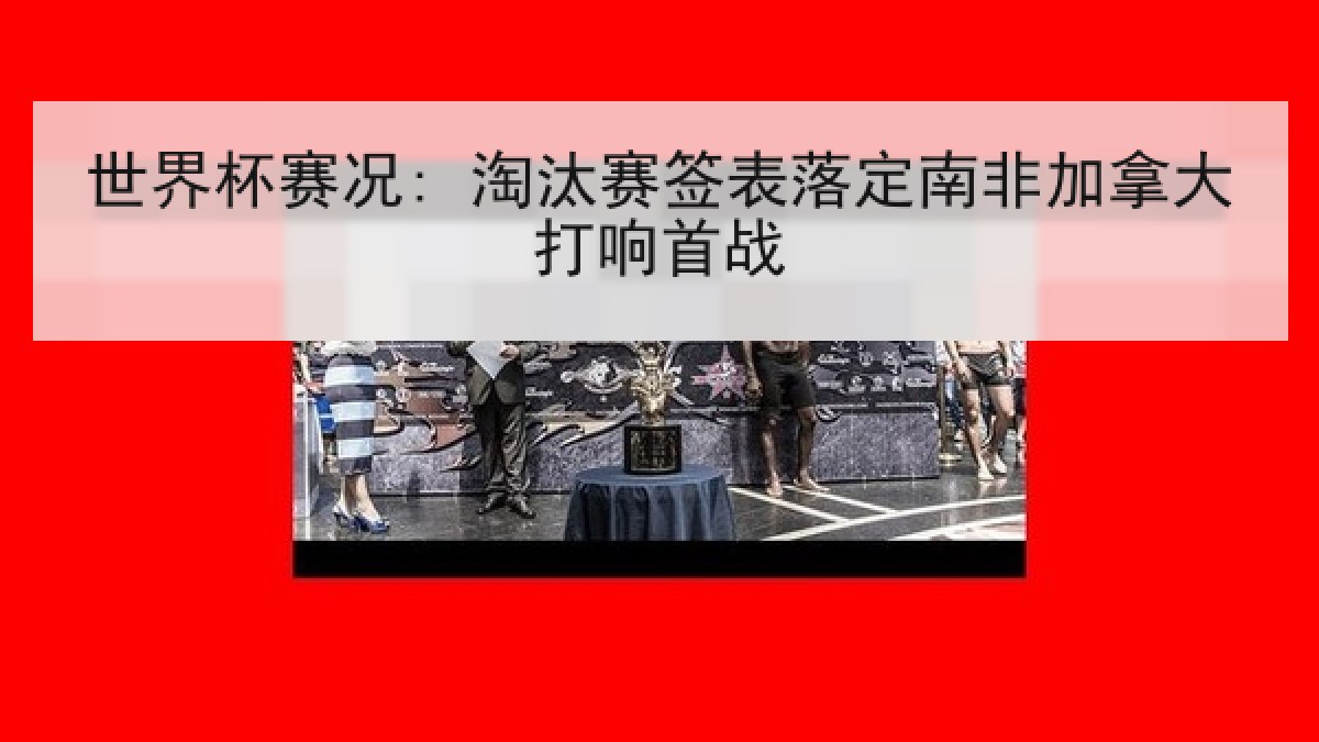 世界杯赛况: 淘汰赛签表落定南非加拿大打响首战