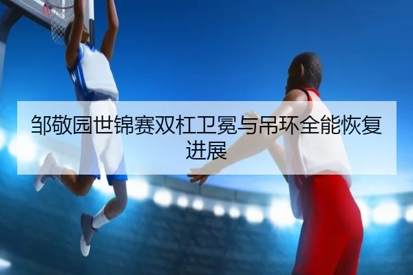 邹敬园世锦赛双杠卫冕与吊环全能恢复进展